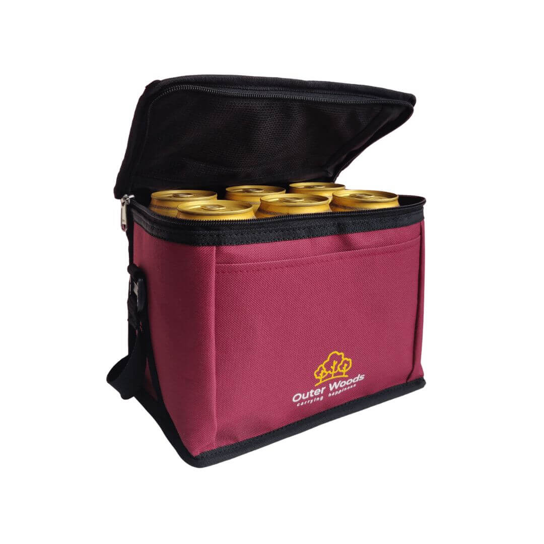 Buy DM4U 24L 12V Nylon Portable Electric Collapsible Car Cooler Bag for  Travel, Picnic, Camping & Hiking, EC-24L Online At Price ₹8939